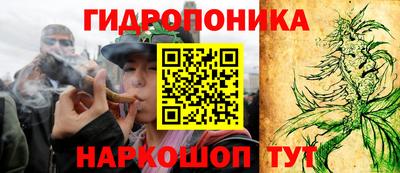 ПСИЛОЦИБИНОВЫЕ ГРИБЫ Изобильный